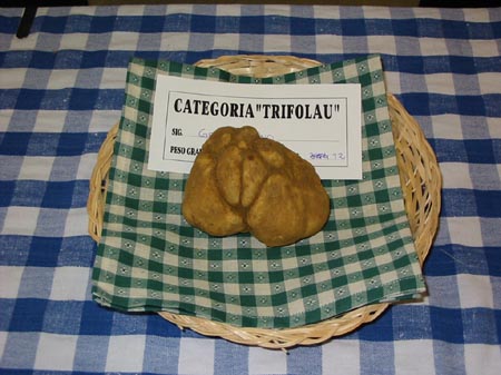 tartufo-vincente