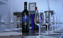 VINI ROVERO