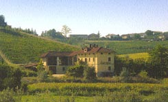 VINI DACAPO 